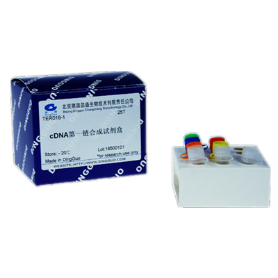 鼎国 CDNA第一链合成试剂盒